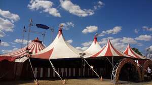 Circus clown s c3