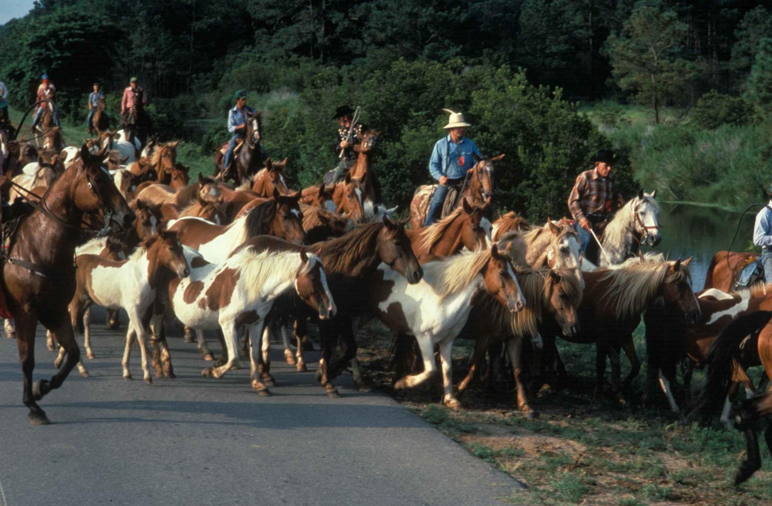 Cowboys on horses