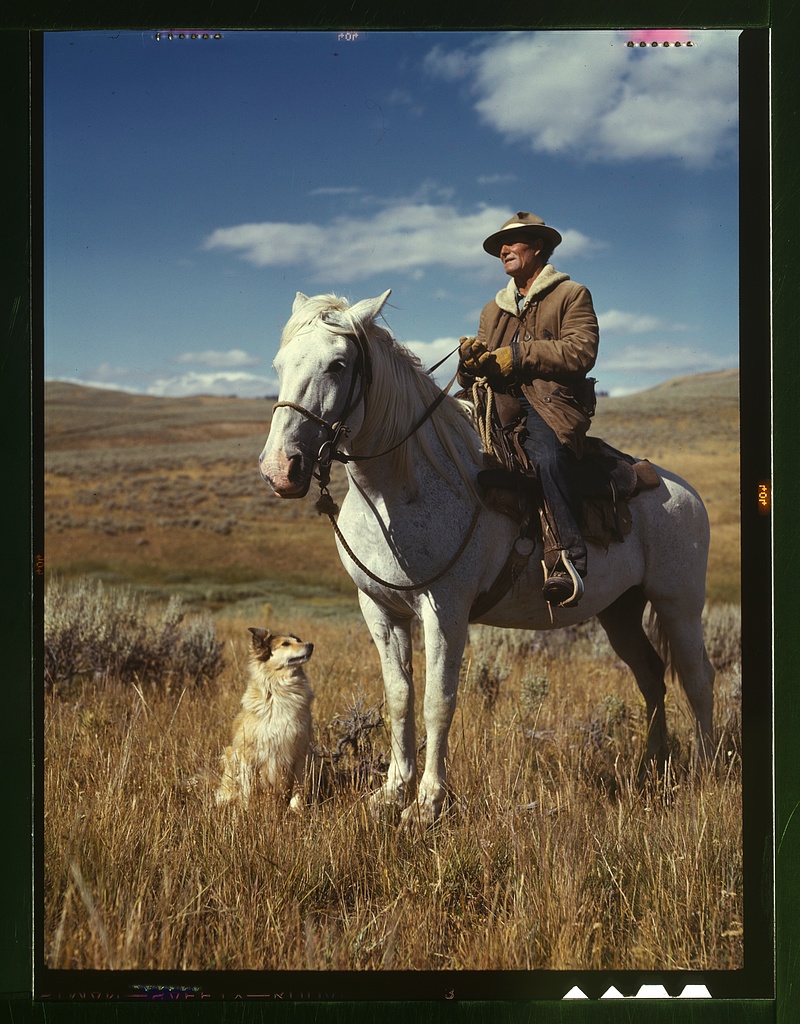 Shepherd with his horse and dog on Gravelly Range, Madison County, Montana