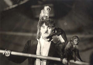 The circus 0