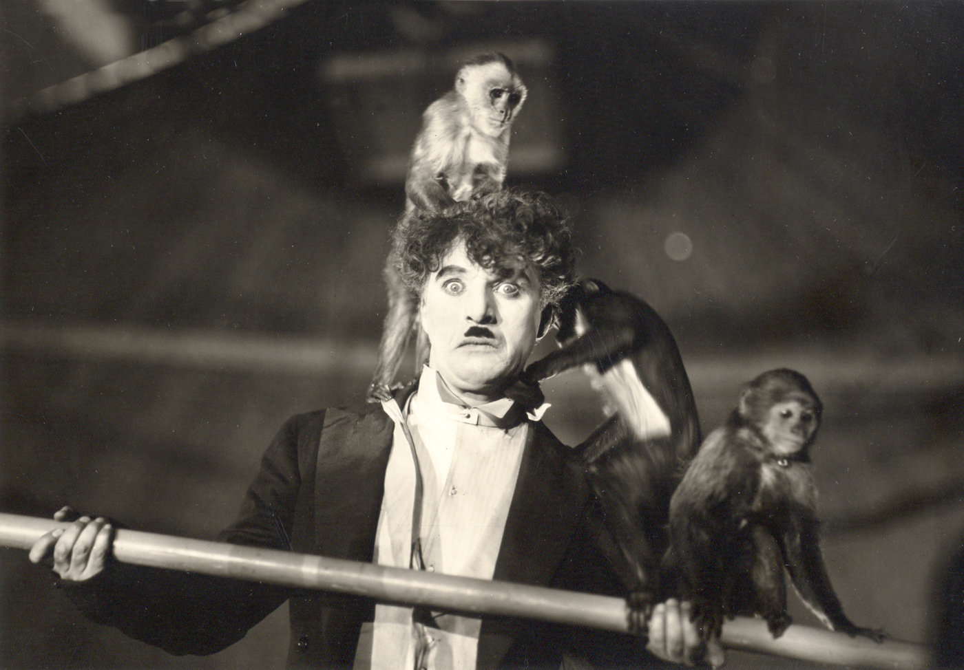 The circus 0
