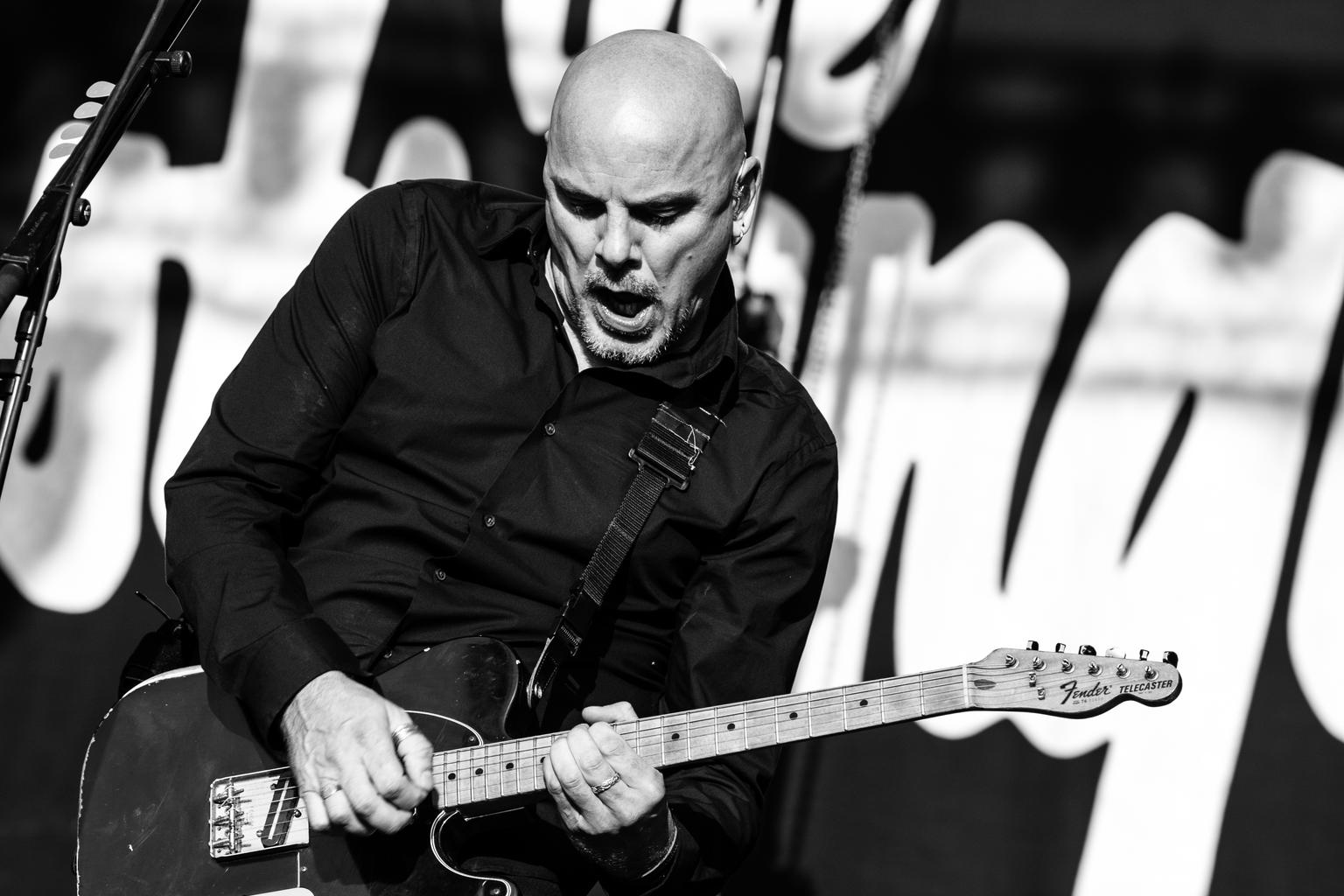 The stranglers brussels summer