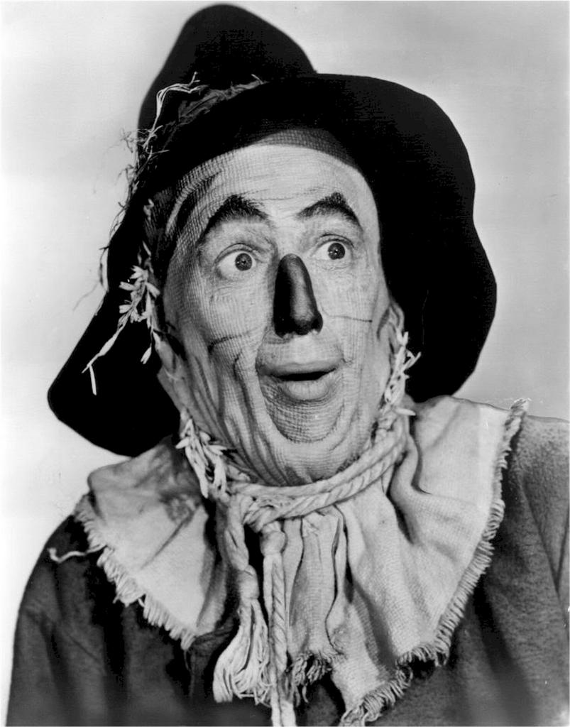 The wizard oz ray